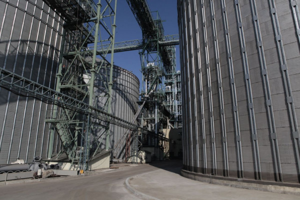 Еда и агрикультура в фокусе интересов иностранных инвесторов